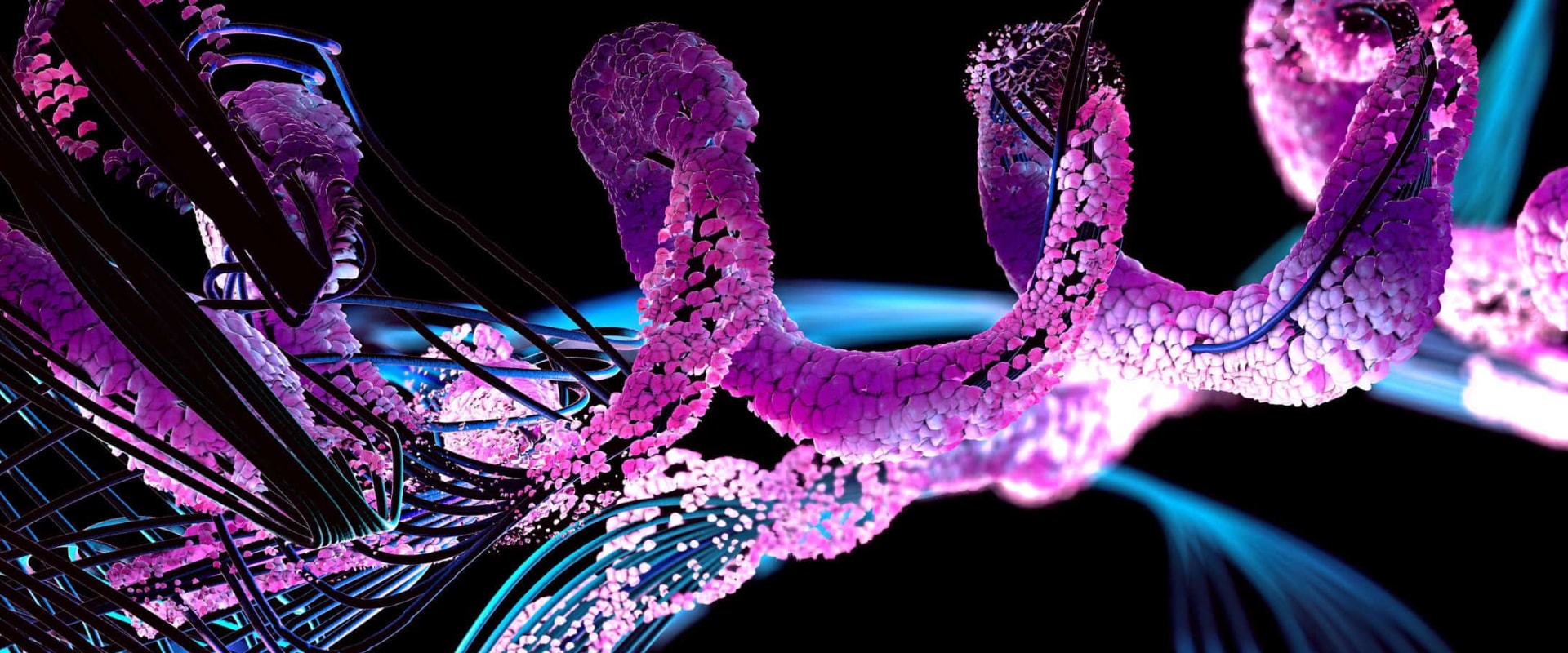 Exploring the Diverse World of Peptides