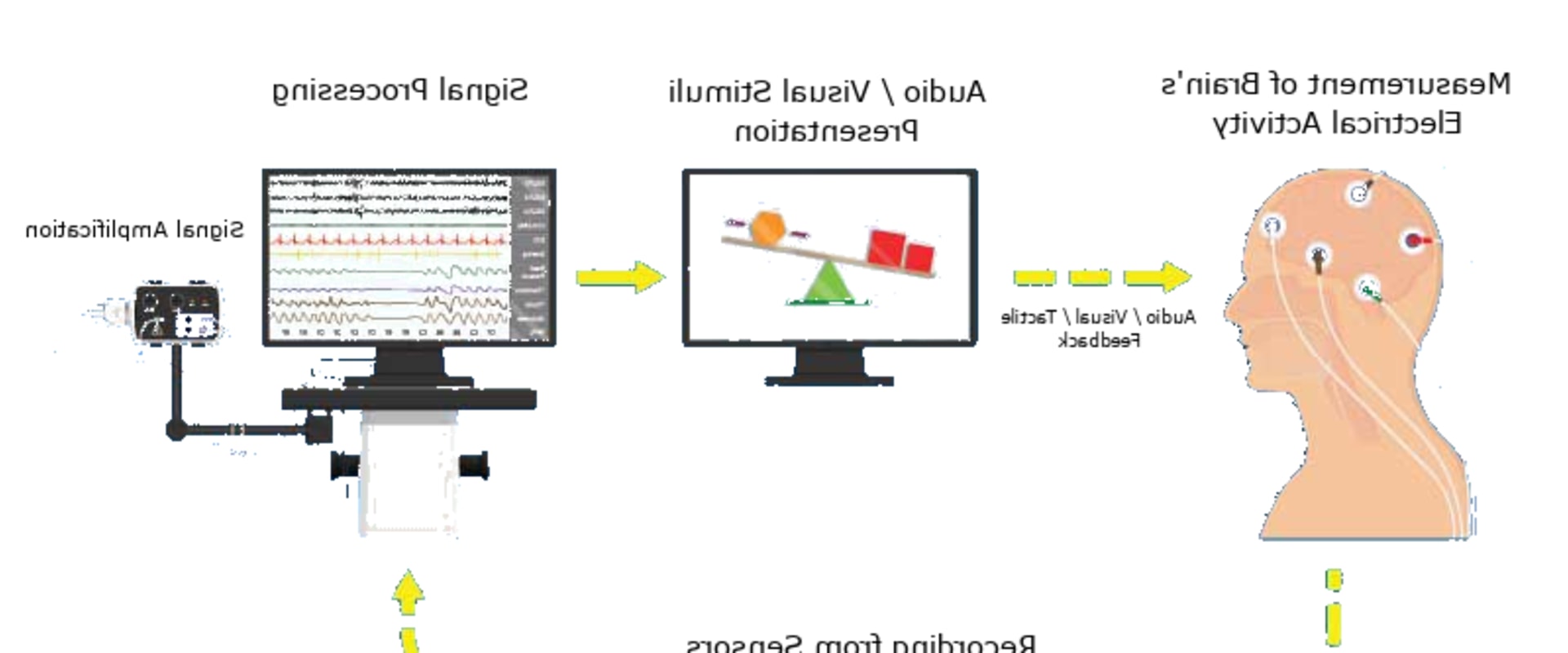 T6 P8 Neurofeedback Protocol for Anxiety: What It Is and How It Works