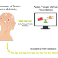 T6 P8 Neurofeedback Protocol for Anxiety: What It Is and How It Works