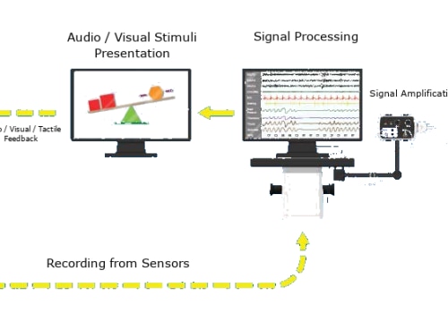 T6 P8 Neurofeedback Protocol for Anxiety: What It Is and How It Works